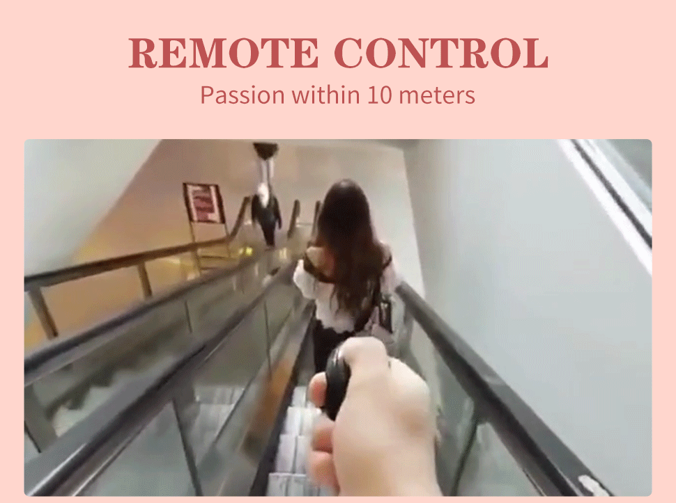 Remote Control Vibrator Dildo Panties